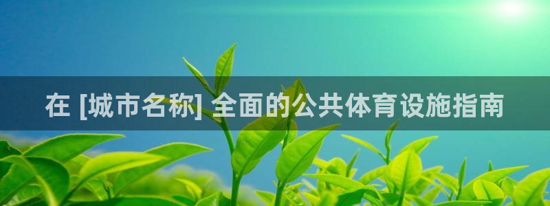 意昂体育3招商：在 [城市名称] 全面的公共体育设施