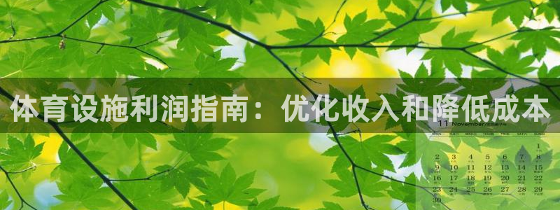 注册意昂3：体育设施利润指南：优化收入和降低成本